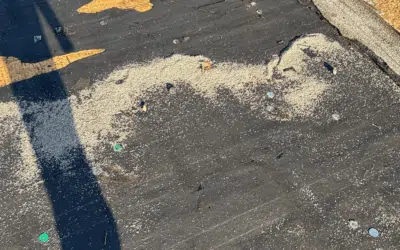 Hurricane Season Roof Preparation Guide