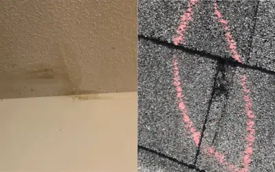 Signs of Water Damage in Florida Ceilings and Roofs